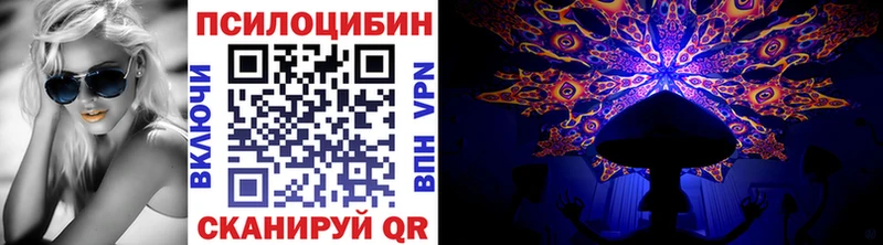 Галлюциногенные грибы прущие грибы  Великий Устюг 