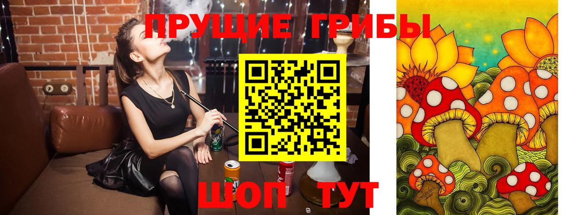 Псилоцибиновые грибы прущие грибы  Вход с VPN  Галлюциногенные грибы GOLDEN TEACHER  Великий Устюг 